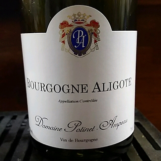 Dom. Potinet Ampeau Bourgogne Aligote