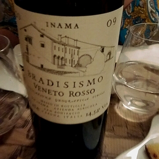 Inama Bradisismo 2009(イナマ ブラディッシズモ)