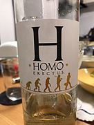 ホモ・エレクトゥス ブラン