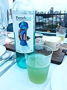 Pamel Azul Verdejo