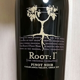 Root: 1 Pinot Noir(ルート・ワン ピノ・ノワール)