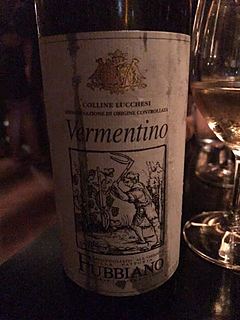 Fattoria di Fubbiano Vermentino