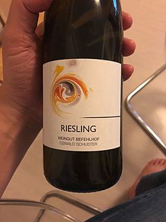 Weingut Befehlhof Riesling