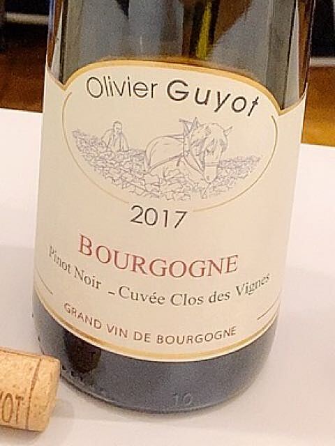 Olivier Guyot Bourgogne Pinot Noir Cuvée Clos des Vignes