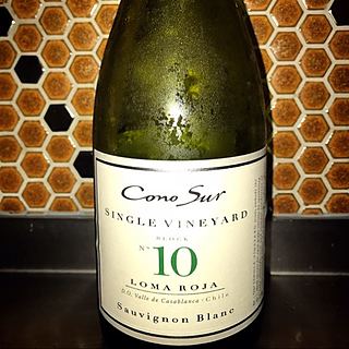 Cono Sur Single Vineyard No.10 Sauvignon Blanc(コノ・スル シングル・ヴィンヤード No.10 ソーヴィニヨン・ブラン)