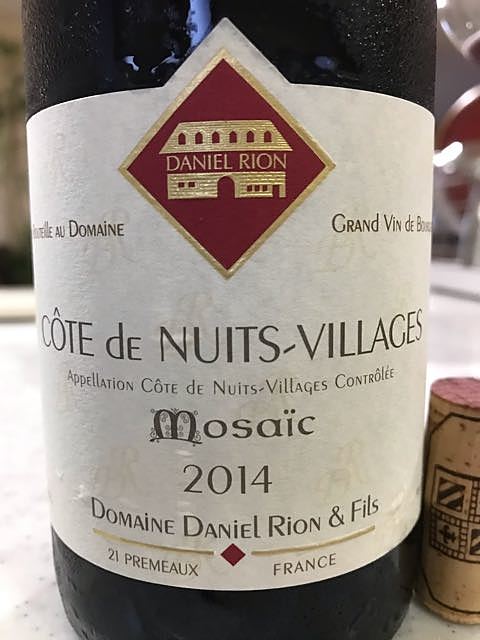 Dom. Daniel Rion & Fils Côte de Nuits Villages Mosaïc