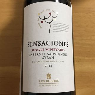 Sensaciones Single Vineyard Cabernet Sauvignon Syrah(センサシオネス シングル・ヴィンヤード カベルネ・ソーヴィニヨン シラー)
