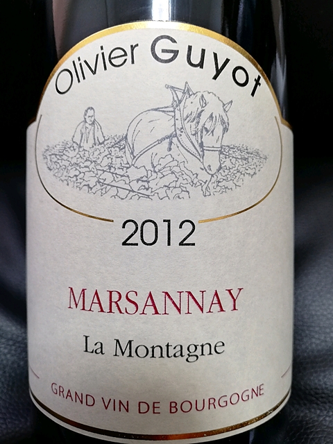 Olivier Guyot Marsannay La Montagne