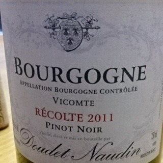 Doudet Naudin Bourgogne Pinot Noir Vicomte