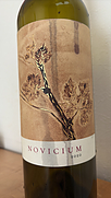 Continuum Novicium(2020)