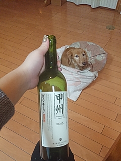 写真（ワイン） by airinringal