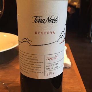 Terra Noble Reserva Merlot