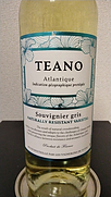 Teano Souvignier Gris