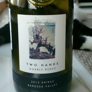 Two Hands Gnarly Dudes Shiraz
