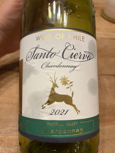 写真（ワイン） by today'swine