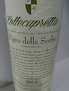 Collecapretta Pigro delle Sorbe
