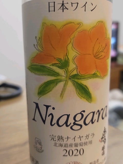 写真（ワイン） by nisinof