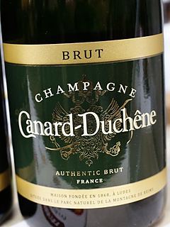 Canard Duchêne Authentic Brut(カナール・デュシェーヌ オーセンティック ブリュット)