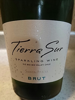 Santa Alicia Tierra Sur Sparkling Brut(サンタ・アリシア ティエラ・スール スパークリング ブリュット)