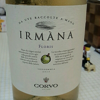Corvo Irmàna Floris