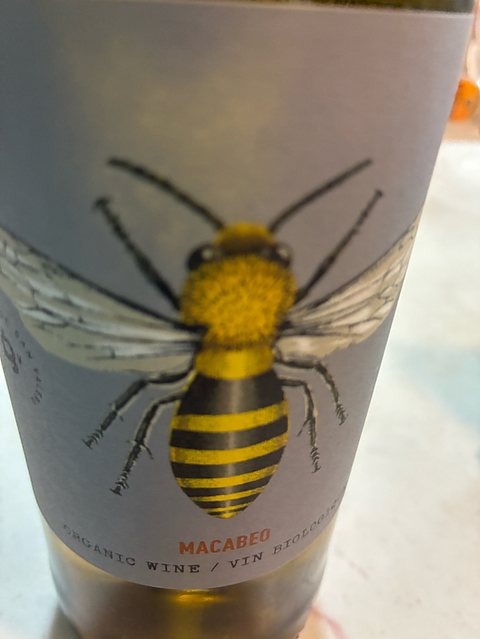 写真（ワイン） by ひろっと