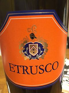Fattoria di Montecchio Etrusco