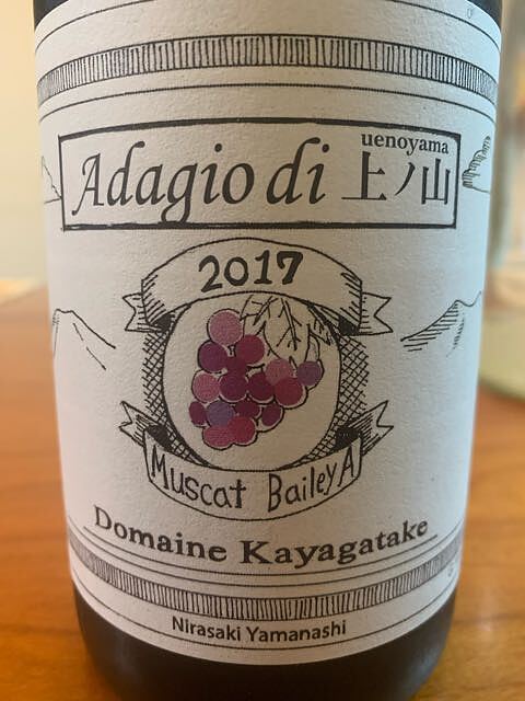 Dom. Kayagatake Adagio di 上ノ山 Muscat Bailey A(ドメーヌ 茅ヶ岳 アダージョ・ディ・ウエノヤマ マスカットベーリーA)
