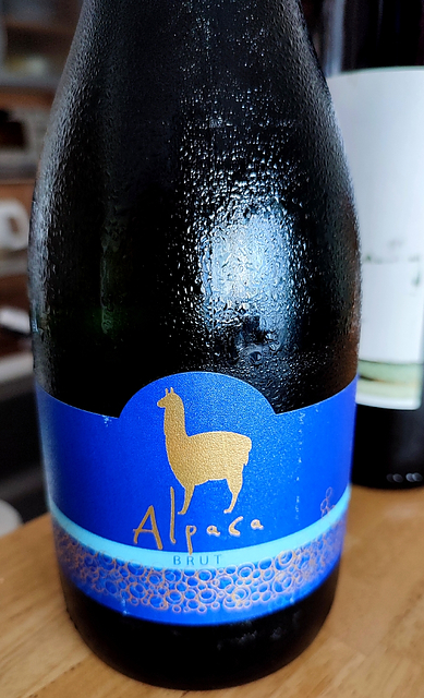 写真（ワイン） by KuMasapillows