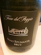 Terre del Poggio Vino Spumante Brut