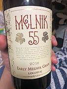 ロゴダジ メルニック 55