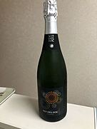 Nit del foc Brut