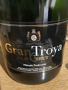 Gran Troya Cava Brut