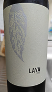 ラヤ(2022)