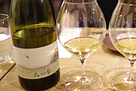 上幌ワイン Sauvignon Blanc 森(2021)
