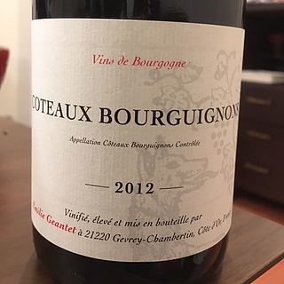 Emilie Geantet Coteaux Bourguignon