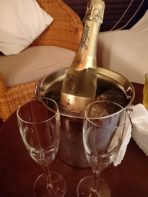 Freixenet Carta Nevada Brut(フレシネ カルタ・ネバダ ブリュット)