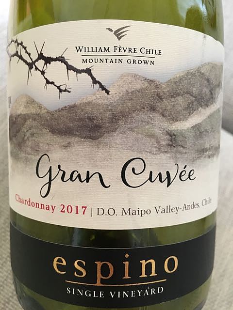 William Fèvre Chile Espino Chardonnay Gran Cuvée