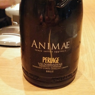 Perlage Animae