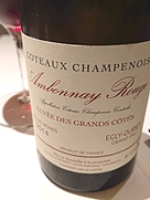 Egly Ouriet Coteaux Champnois Ambonnay Rouge Cuvée | Vinica Egly Ouriet Coteaux Champnois Ambonnay Rouge Cuvée | Vinica
