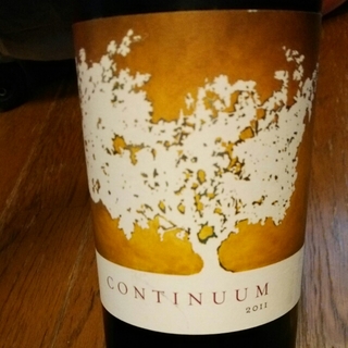Continuum 2011(コンティニュアム)