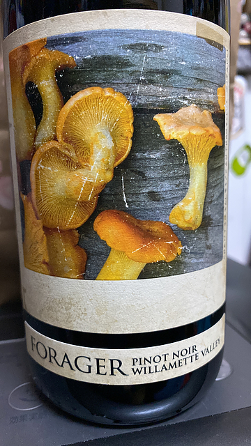 Forager Pinot Noir Willamette Valley