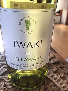 Iwaki Delaware 2016(いわきワイナリー デラウェア)
