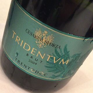 Cesarini Sforza Tridentvm Brut