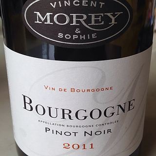 Vincent & Sophie Morey Bourgogne Pinot Noir(ヴァンサン・エ・ソフィー・モレ ブルゴーニュ ピノ・ノワール)