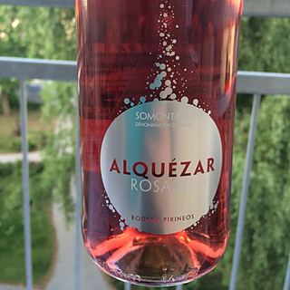 Bodega Pirineos Alquézar Rosado Aguja