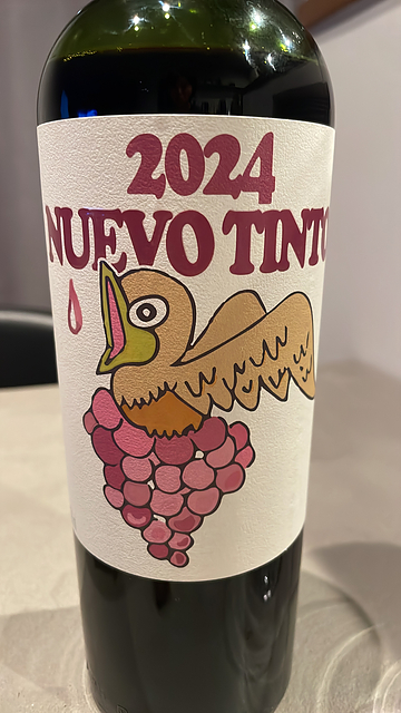 Apaltagua Nuevo Tinto 2024