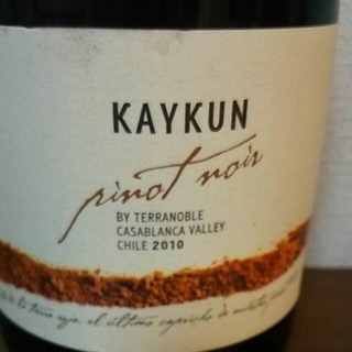 Terra Noble Kaykun Pinot Noir