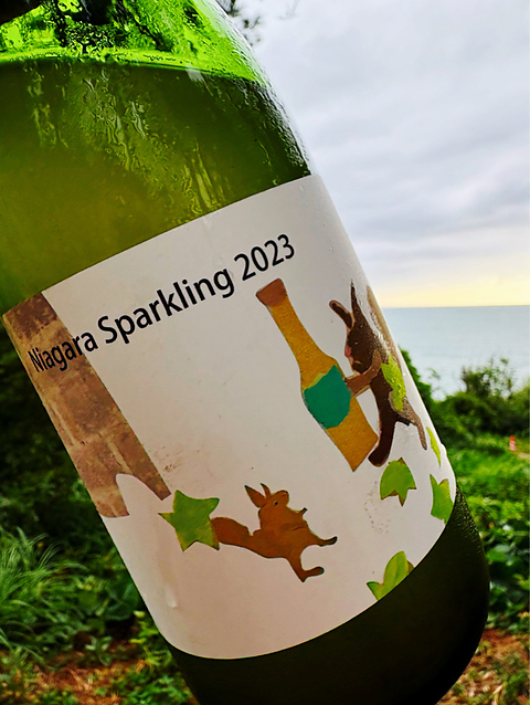 写真（ワイン） by masa44