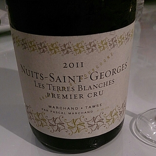 Marchand Tawse Nuits Saint Georges 1er Cru Les Terres Blanches
