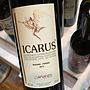 Afianes Icarus Red(2013)